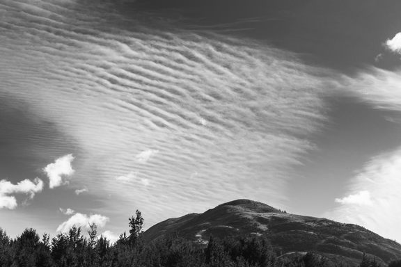 Wispy ridged clouds that look a little like a fern.
